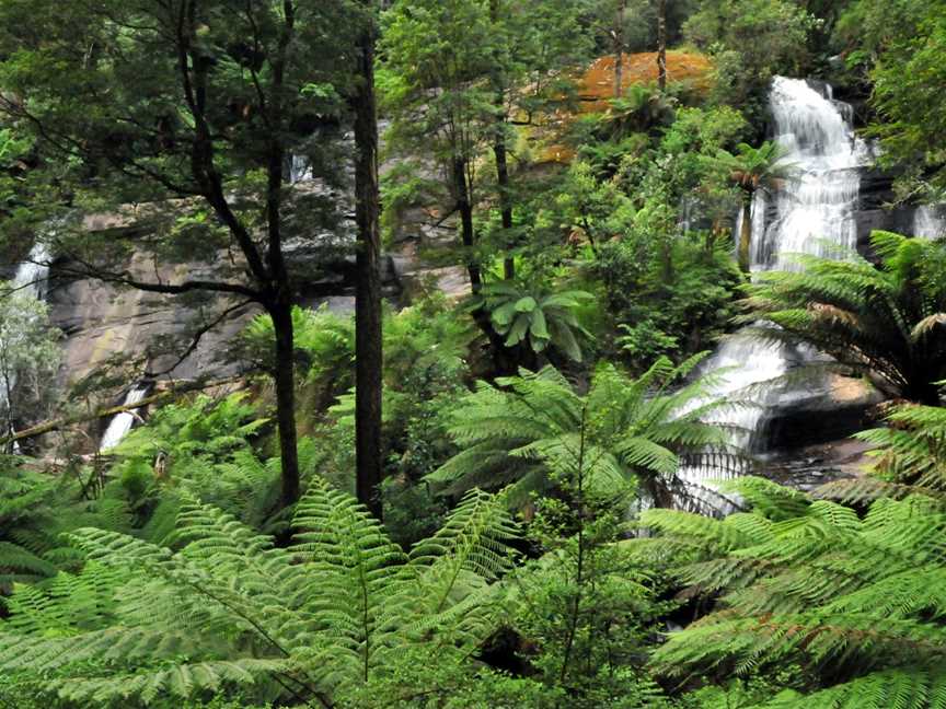 Triplet Falls, Beech Forest, VIC