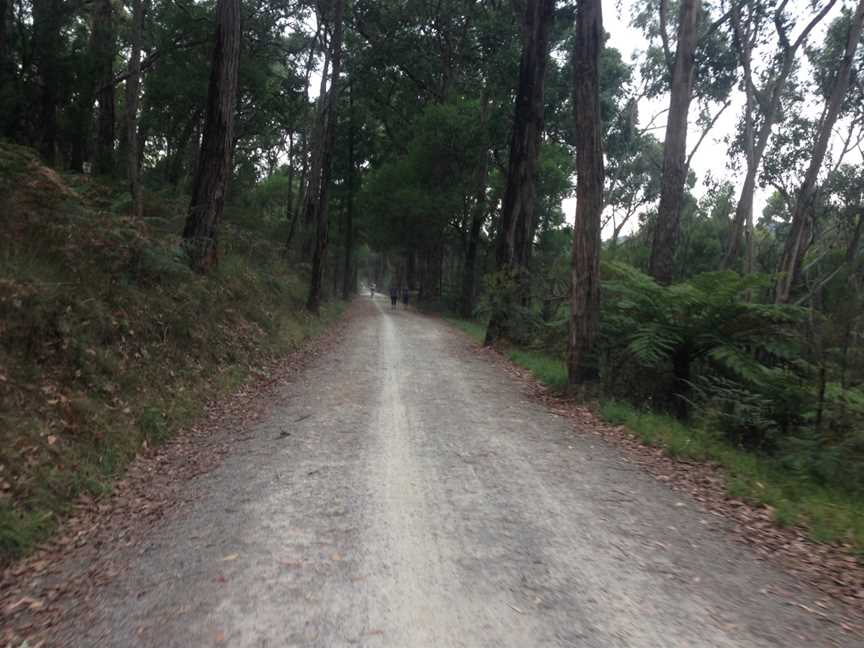 Lilydale to Warburton Rail Trail, Lilydale, VIC