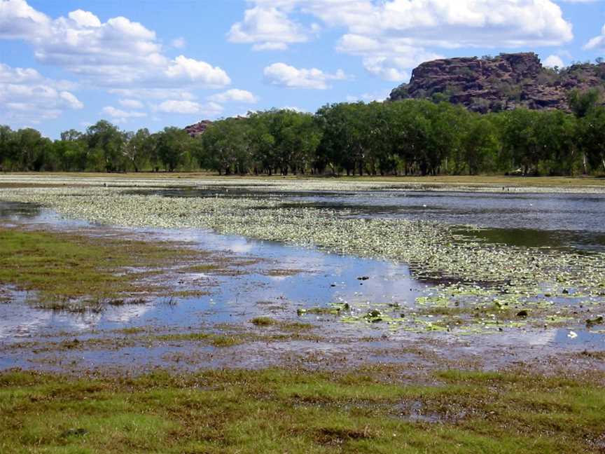 Anbangbang Billabong, Kakadu National Park, NT