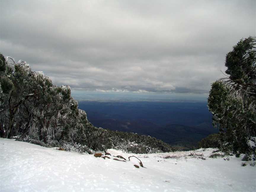 Mount Baw Baw, Mount Baw Baw, VIC