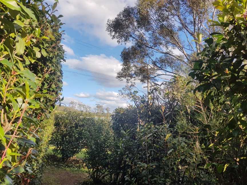 Granties Maze, Foxground, NSW