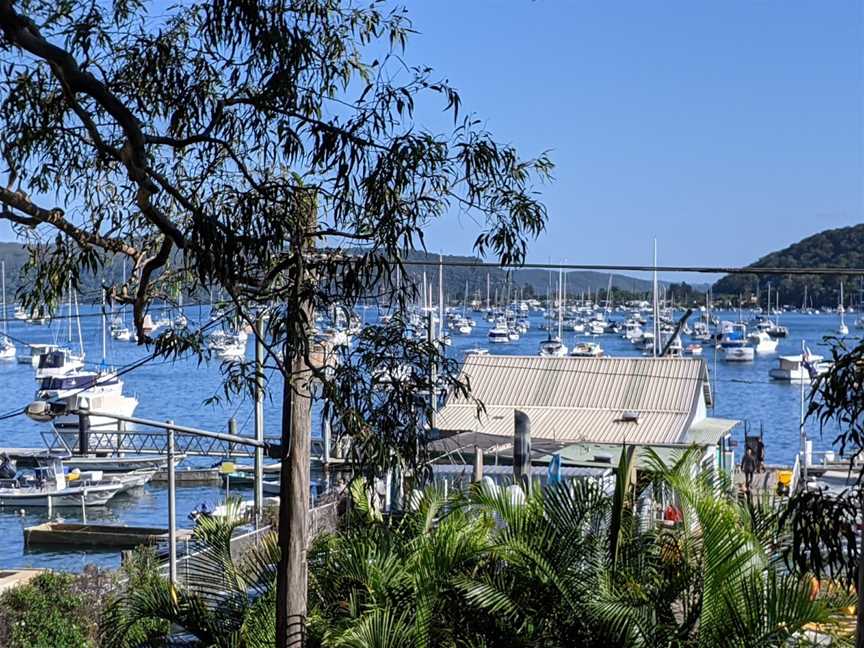 Careel Bay Marina, Avalon Beach, NSW