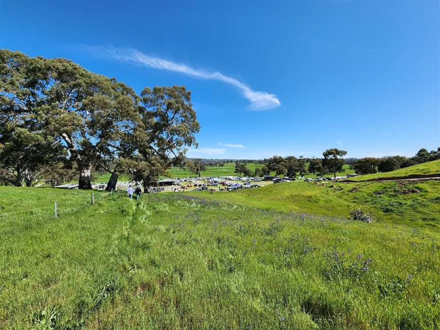 Collingrove Hillclimb, Mount Mckenzie, SA