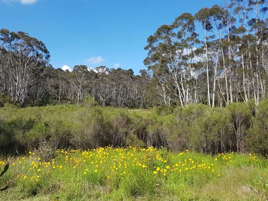 Catalina Park, Katoomba, NSW