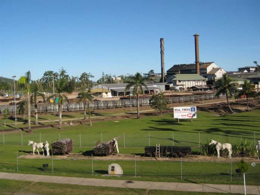 Golden Gumboot, Tully, QLD