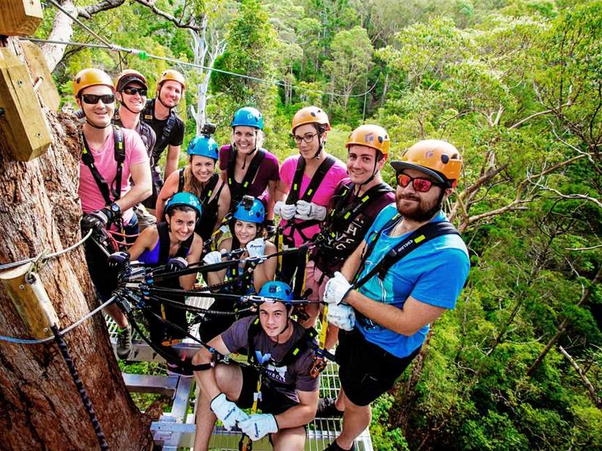 Canyon Flyer Zipline Tour, Australia's largest Zipline Tour, North Tamborine, QLD