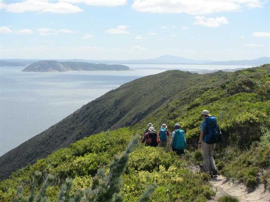 Bald Head Walk, Tourist attractions in Albany