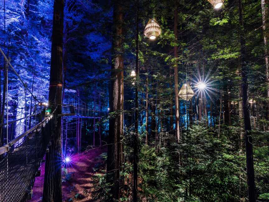 Redwoods Treewalk, Whakarewarewa, New Zealand