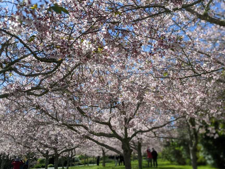 Auckland Botanic Gardens, The Gardens, New Zealand