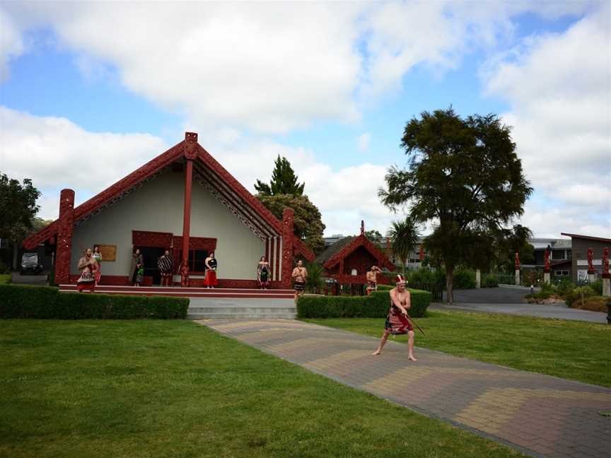 Geothermal Valley Te Puia, Rotorua, New Zealand