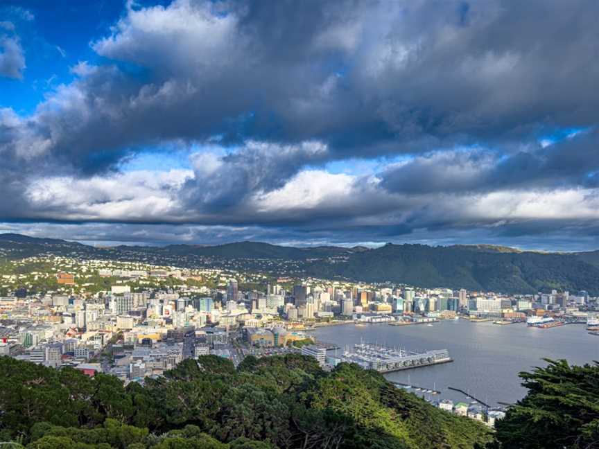 Mount Victoria Lookout, Hataitai, New Zealand