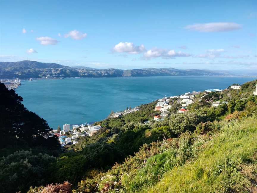 Mount Victoria Lookout, Hataitai, New Zealand