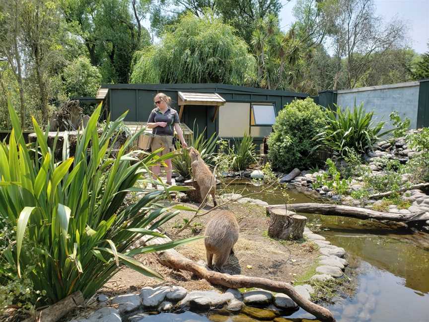 Willowbank Wildlife Reserve, Northwood, New Zealand