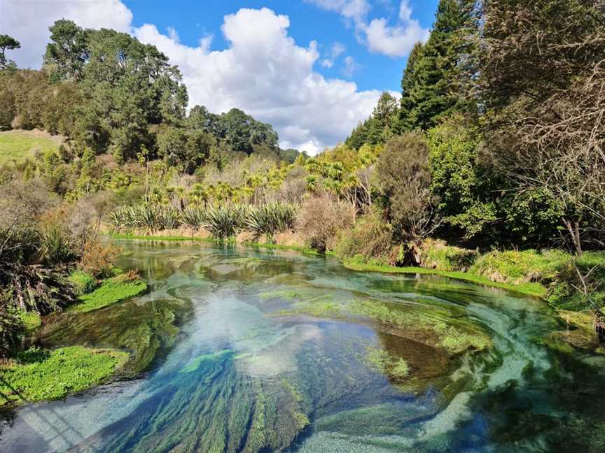 Blue Spring Putaruru, Putaruru, New Zealand