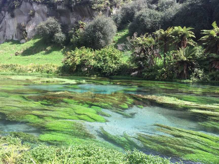 Blue Spring Putaruru, Putaruru, New Zealand