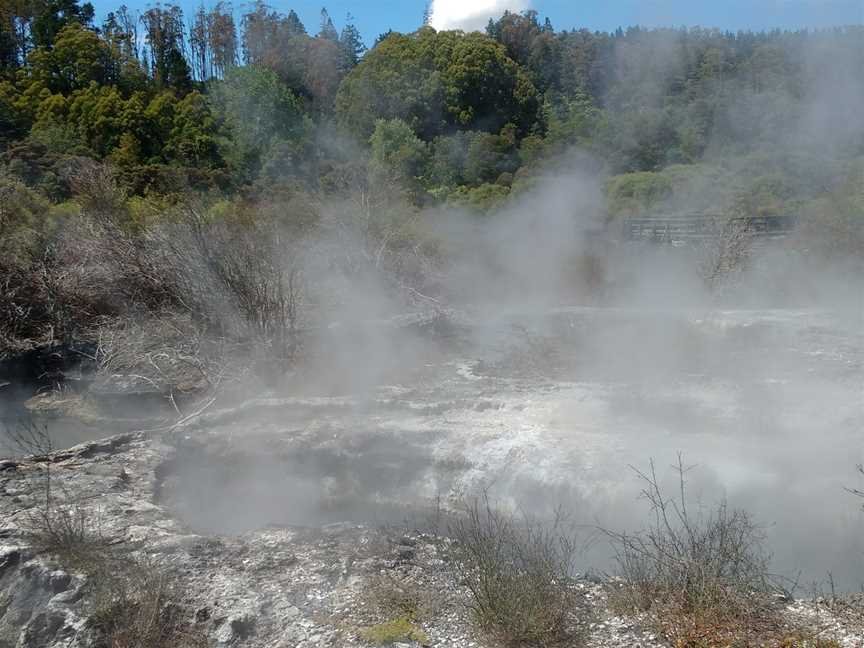 Kuirau Park - Mud Pools, Rotorua, New Zealand