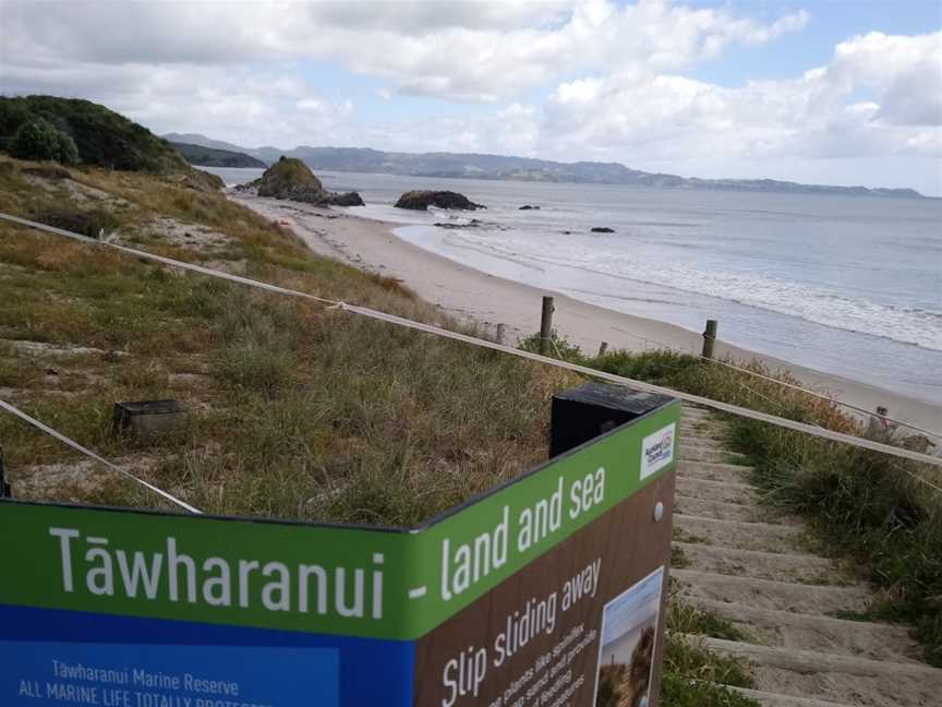 Tawharanui Regional Park, Warkworth, New Zealand