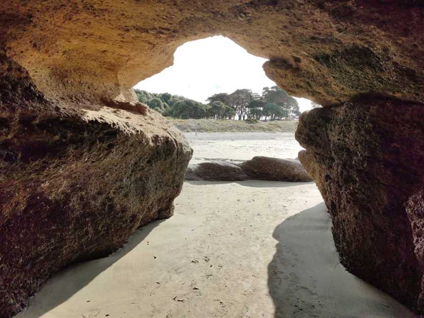 Tawharanui Regional Park, Warkworth, New Zealand