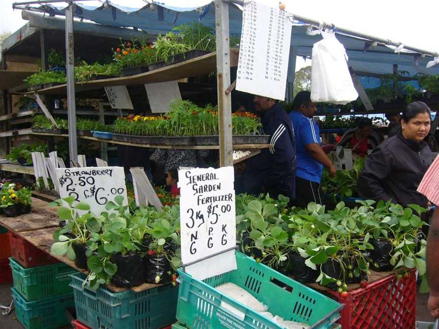 Otara Flea Market, Manukau, New Zealand