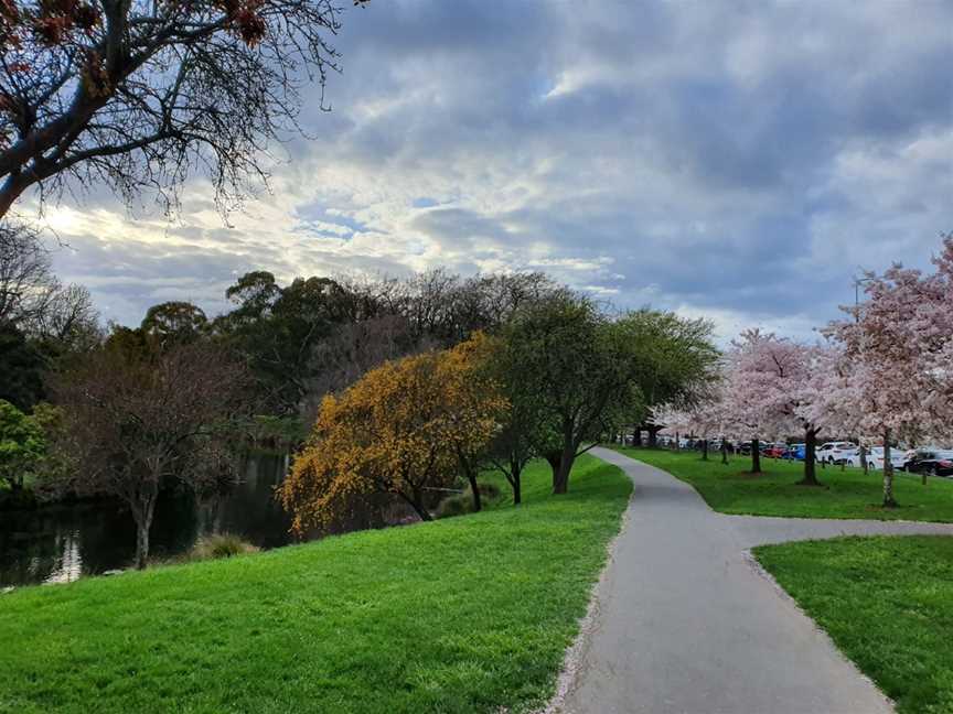 South Hagley Park, Christchurch, New Zealand