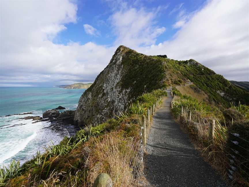 Nugget Point Lighthouse, Balclutha, New Zealand