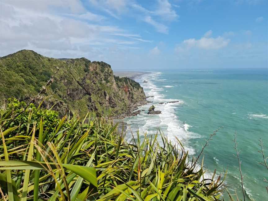 Mercer Bay Loop Walk, Piha, New Zealand