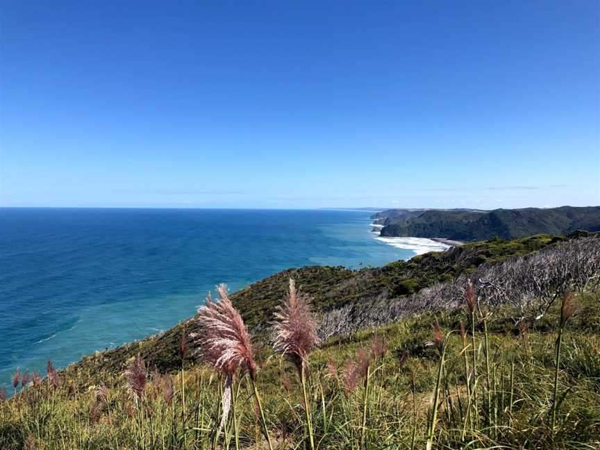 Mercer Bay Loop Walk, Piha, New Zealand