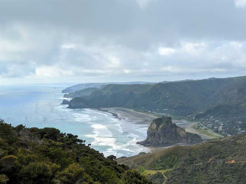 Mercer Bay Loop Walk, Piha, New Zealand