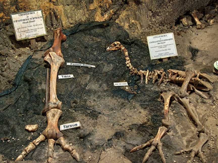 Ngarua Caves, Motueka, New Zealand