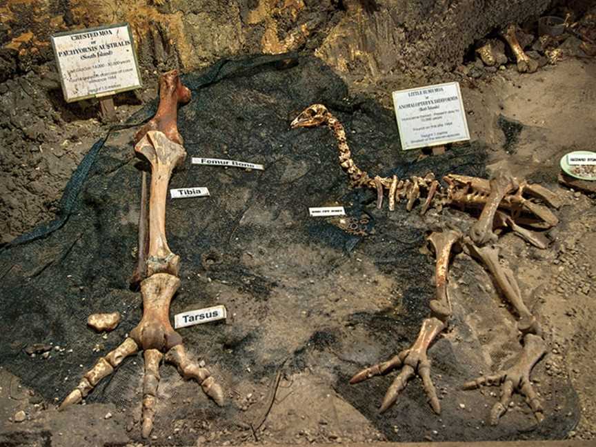 Ngarua Caves, Motueka, New Zealand