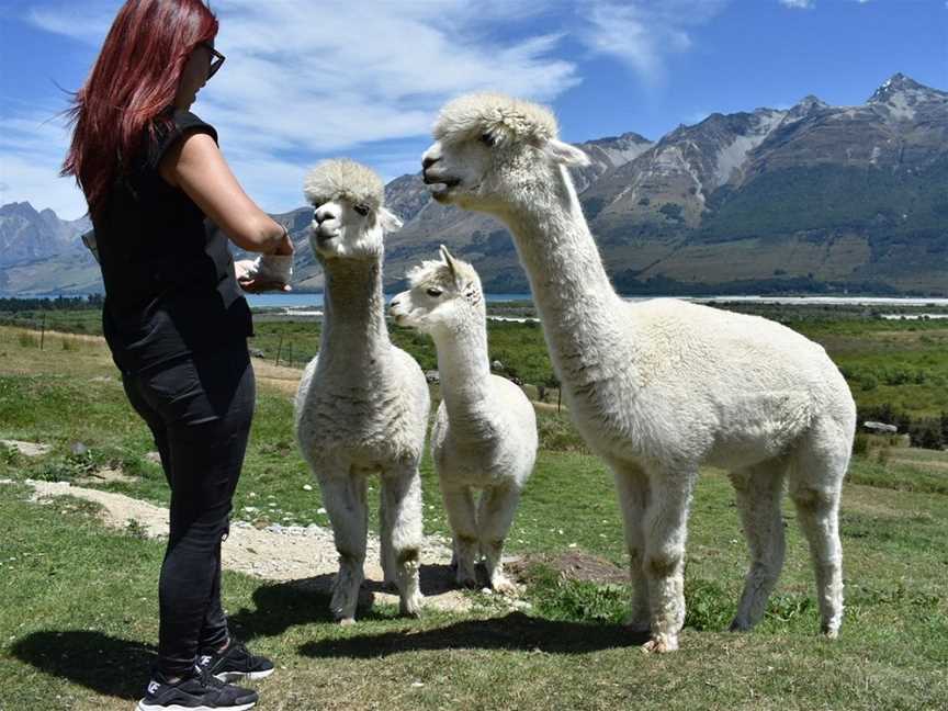 Glenorchy Animal Experience, Glenorchy, New Zealand