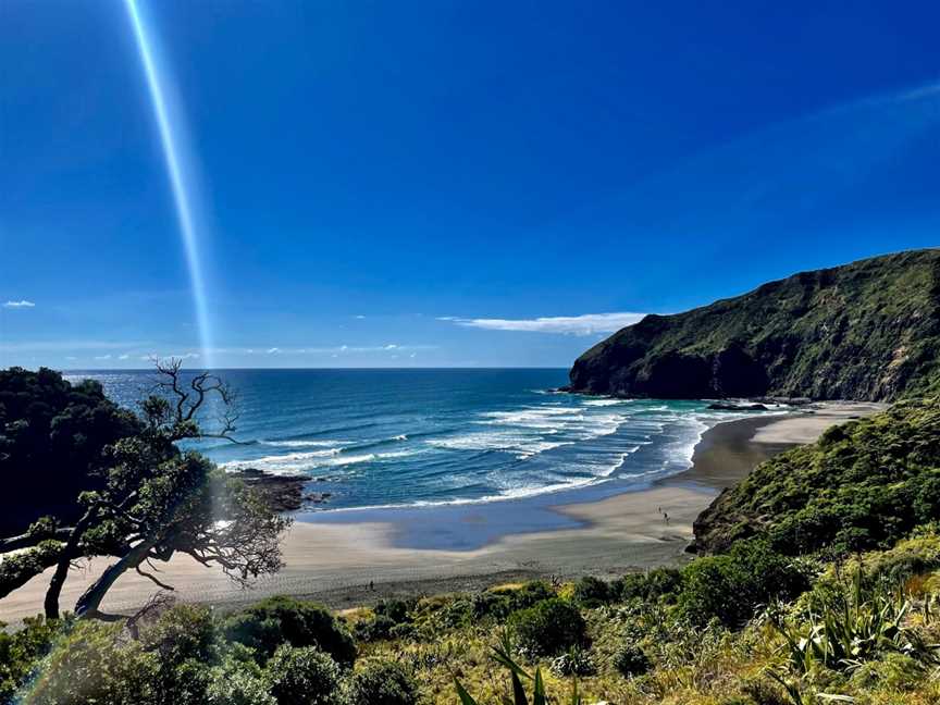 Te Henga Walkway, Waitakere, New Zealand