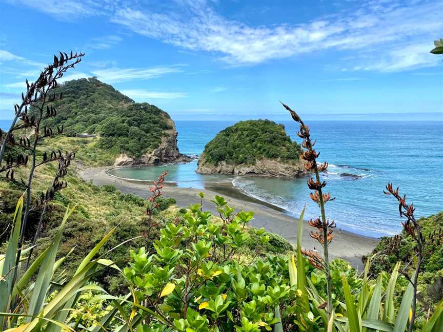 Te Henga Walkway, Waitakere, New Zealand