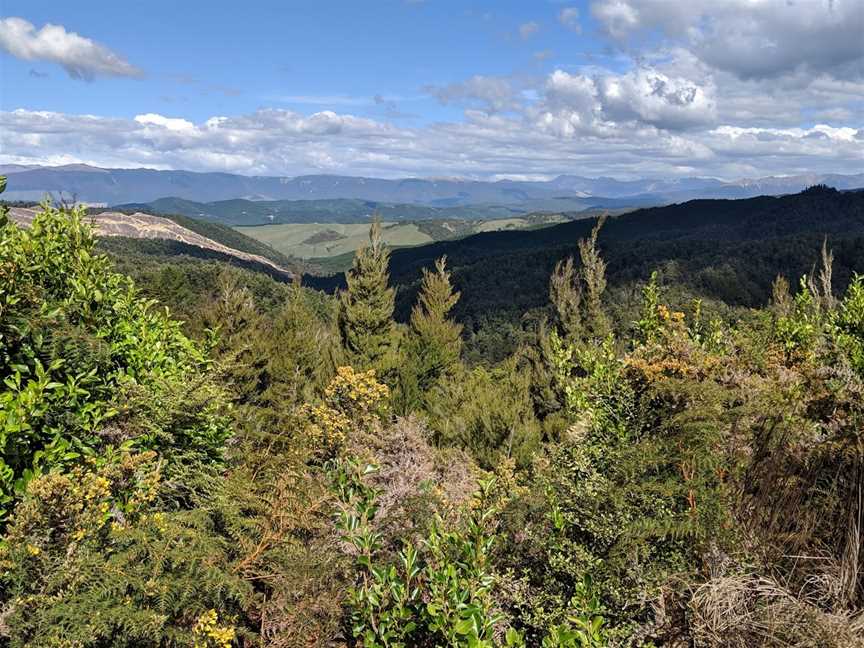 Hope Saddle Lookout, Nelson, New Zealand