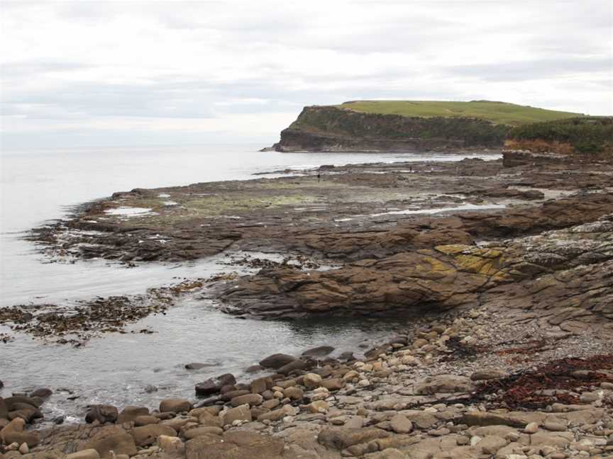 Curio Bay Cliffs, Riverton, New Zealand