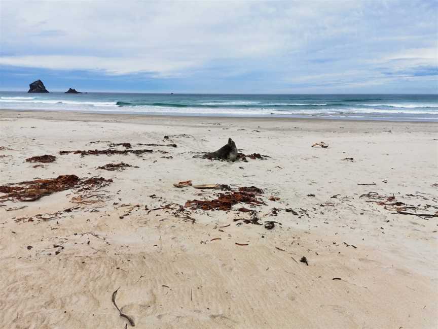 Sandfly Bay, Sandymount, New Zealand