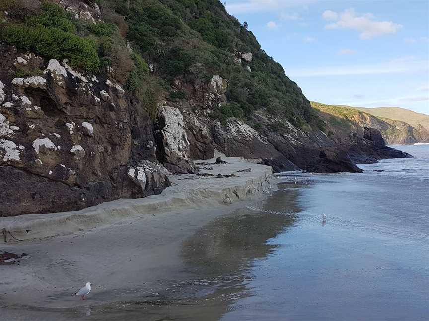 Allans Beach, Portobello, New Zealand