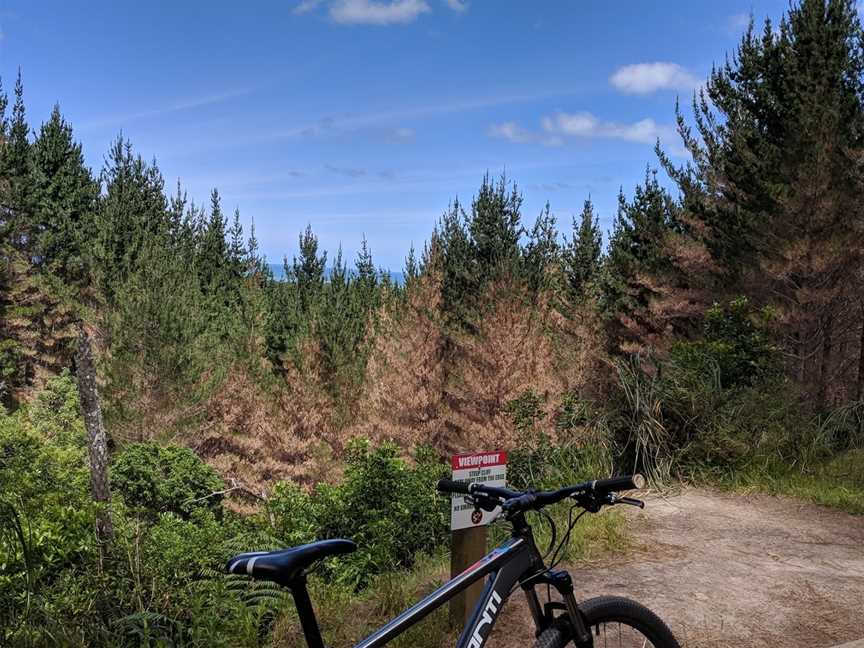 Woodhill Mountain Bike Park, Woodhill, New Zealand