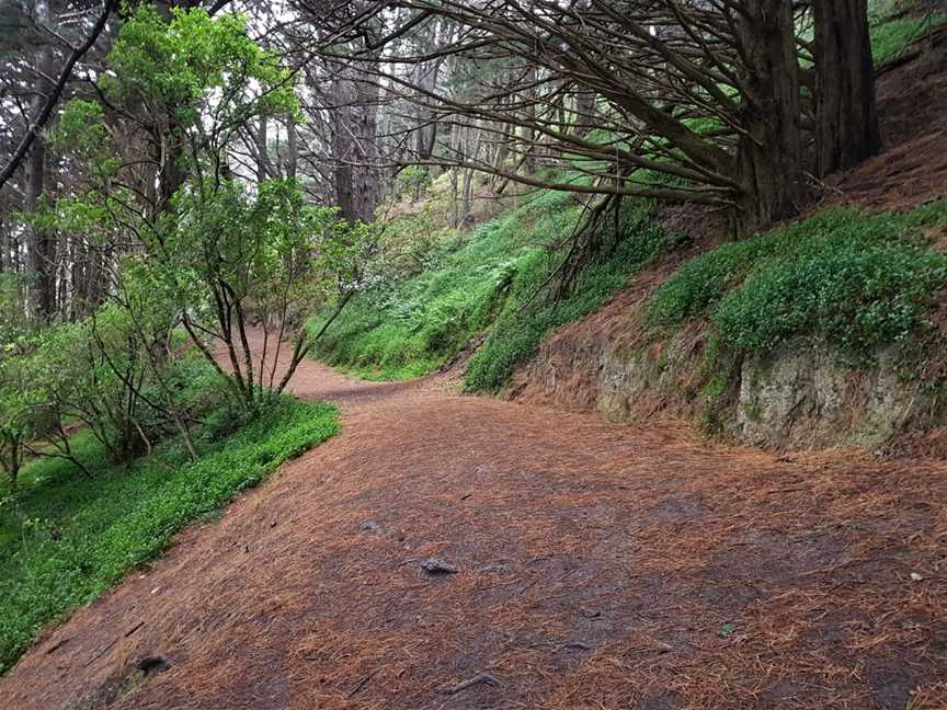 Hobbit's Hideaway, Mount Victoria, New Zealand