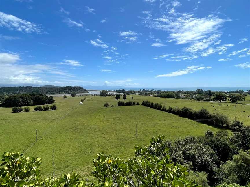 The Grove Scenic Reserve, Clifton, New Zealand