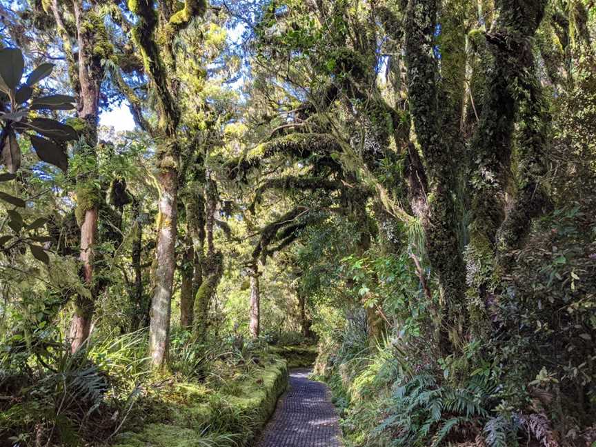 Wilkies Pools, New Plymouth, New Zealand