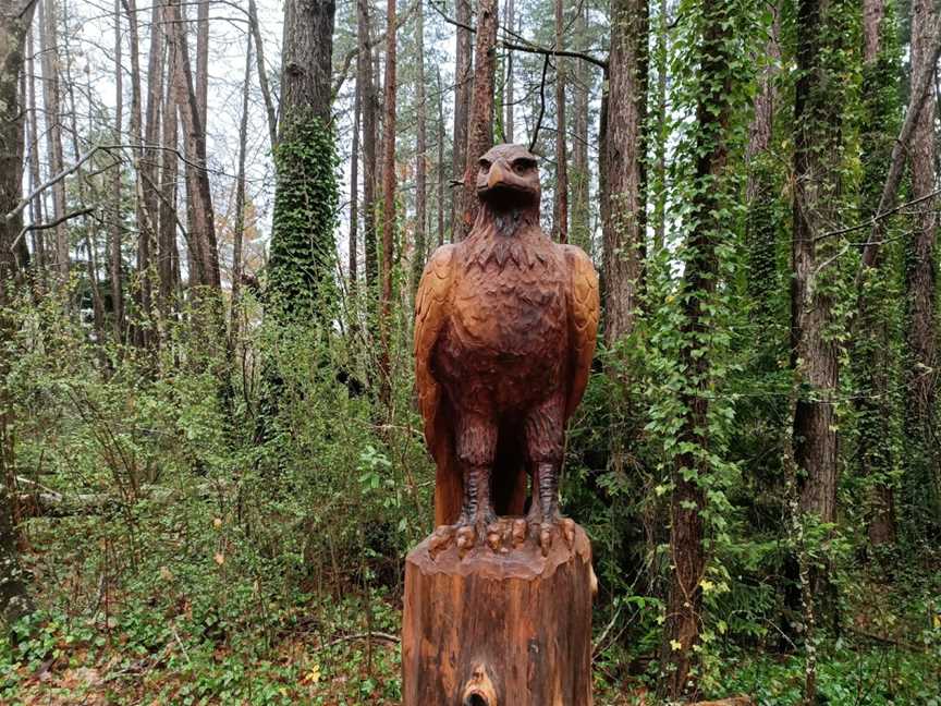 Hanmer Heritage Forest Trust, Hanmer Springs, New Zealand