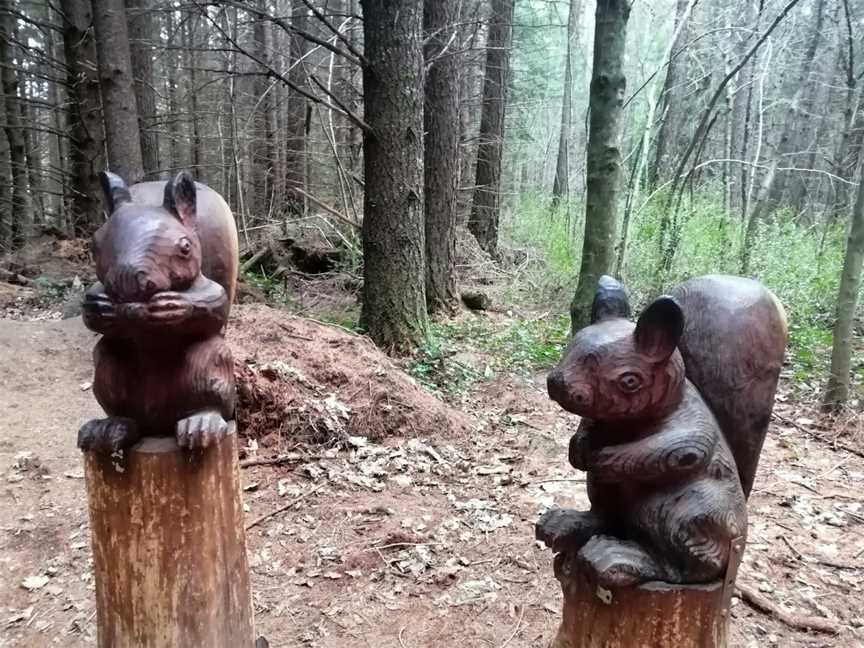 Hanmer Heritage Forest Trust, Hanmer Springs, New Zealand