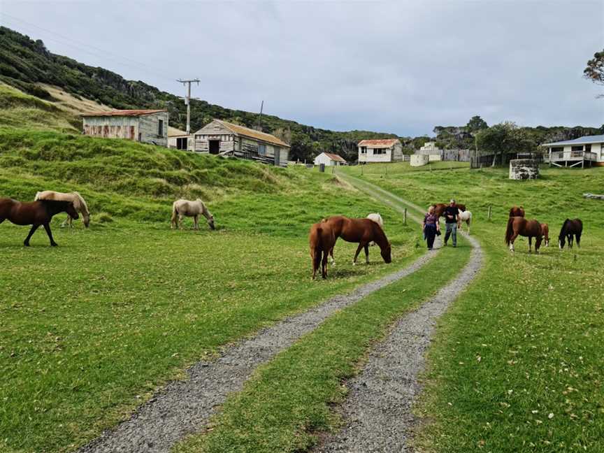 East Cape Lighthouse, Te Araroa, New Zealand