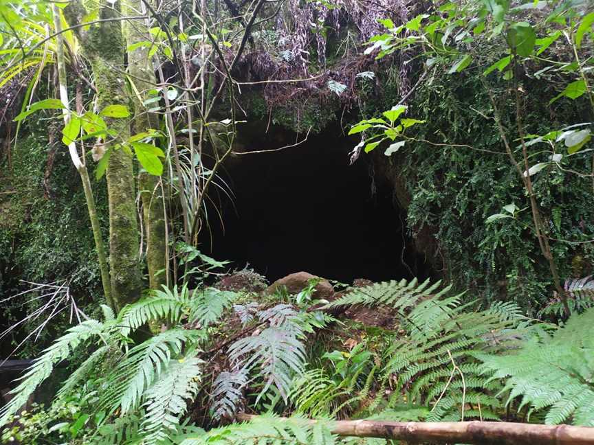 Mitchells Gully Gold Mine, Charleston, New Zealand