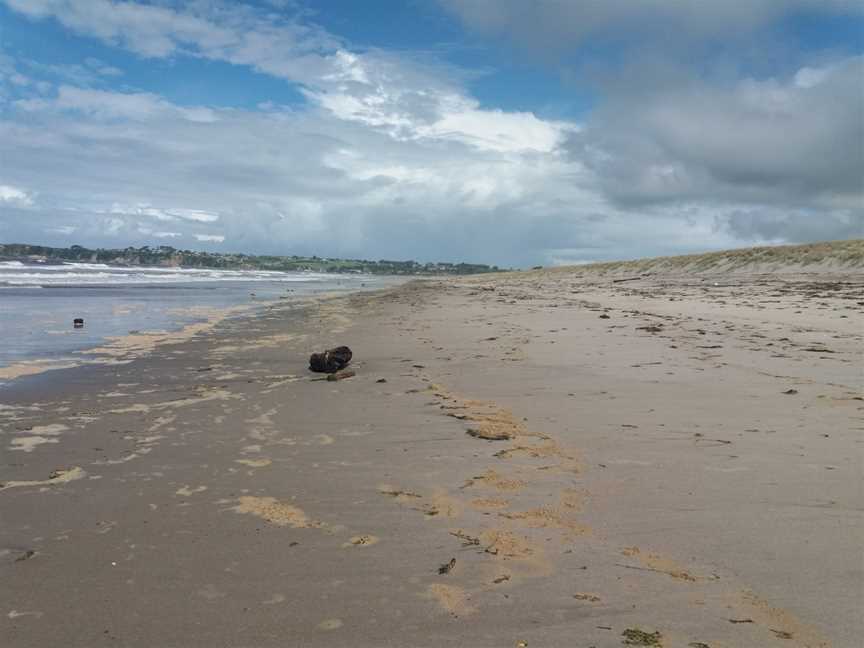 Kaituna Scenic Reserve, Papamoa Beach, New Zealand