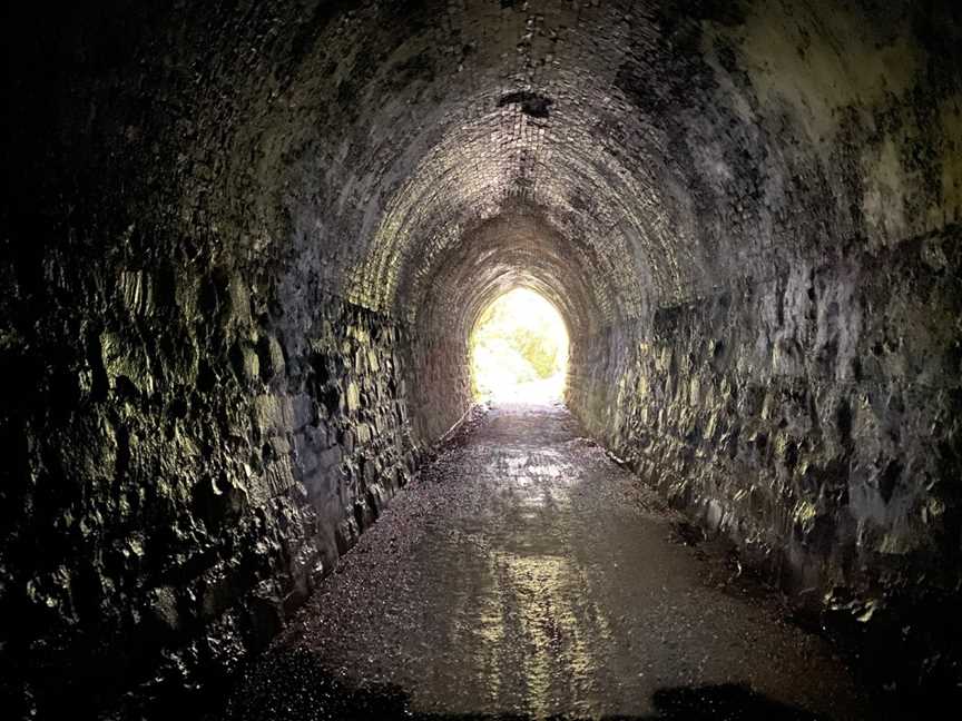 Tunnel Hill, Owaka, New Zealand