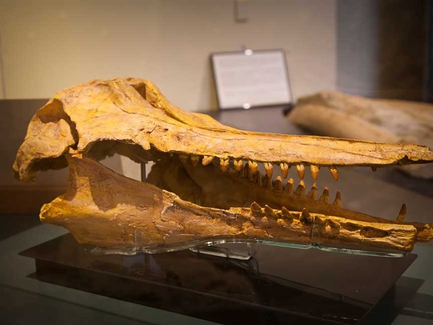 Vanished World Centre, Duntroon, New Zealand