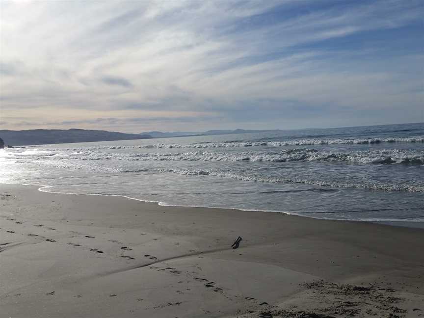 Long Beach, Dunedin, New Zealand