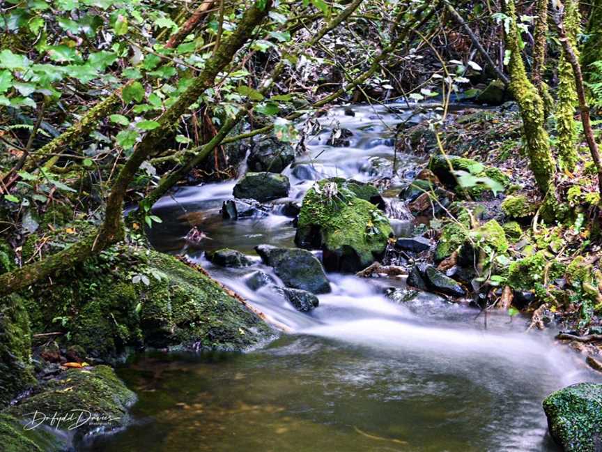 Birchville Dam, Upper Hutt, New Zealand